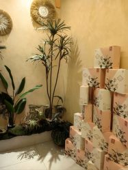 -御品•瑶浴灸疗SPA