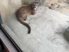 -杭州野生动物世界