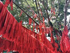 -西双版纳总佛寺