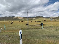 -扁都口生态休闲旅游区