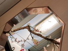 -野妹火锅(龙岗店)