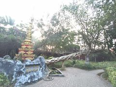 -瑞丽独树成林风景区