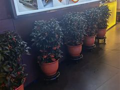 -悦融·京鲁菜·露台花园(安定门店)