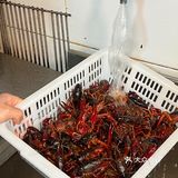 深夜食堂の扫地僧！宵夜被李氏承包了！