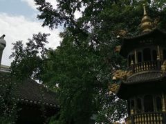 -青羊宫
