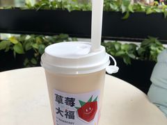 -树夏(鹭洲里店)