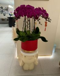 -Dr.林醫生产后修复·超级店(南京江宁同曦店)
