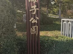 -西海子公园