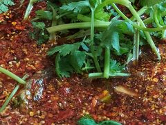 -胖大姐黄辣丁鱼庄(新津店)