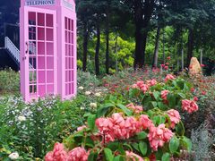 -人民公园(罗湖区)