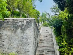 -南沙蒲洲花园