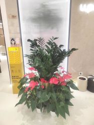 -幼泡泡连锁美容医疗