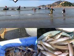 -那琴半岛地质海洋公园