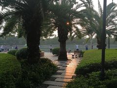 -白鹭洲公园