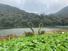 -广州市石门国家森林公园