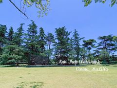 -上海市龙华烈士陵园