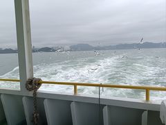 -港珠澳大桥(珠海段)