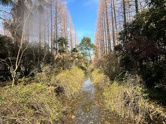 -上海怡沁园度假酒店