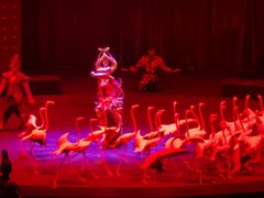 -珠海横琴长隆《卡卡虎奇遇记》