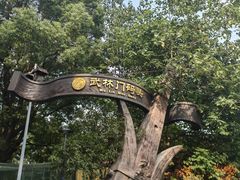 -运河游船(武林门码头)