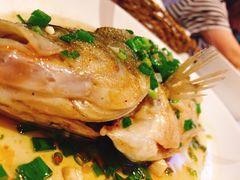 -看见远方·莫干遥远的山民宿