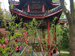 -南汇桃花村