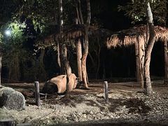 -清迈夜间动物园