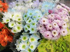 -循礼门鲜花花市(武汉循礼门店)