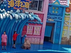 -华夏文旅海洋公园