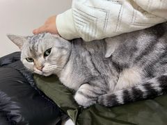 -小时光咖啡馆(北锣鼓巷店)