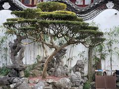 -豫园