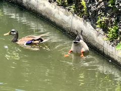 -海南热带野生动植物园