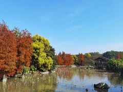 -海珠湖公园