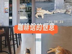 -Again Coffee Roaster(香蜜湖店)