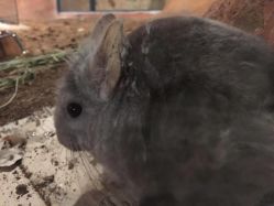 -酷嗒动物文化乐园(cutezoo西溪乐天城店)