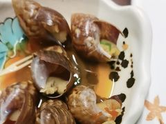 -黑松白鹿(金融街店)
