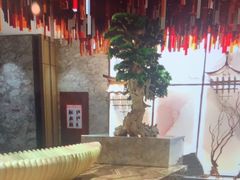 -青水瓦台汤泉(未央店)