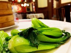 -梅龙镇酒家(南京西路总店)