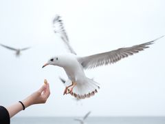-海埂大坝