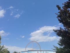 -石家庄极地海洋世界