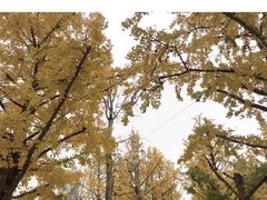 -两江幸福广场