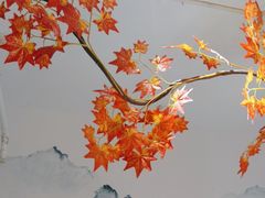 -吴掌柜·藕汤印象(南湖店)