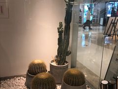 -喜茶(深圳东门1234店)