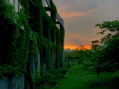 -厦门理工学院(集美校区)