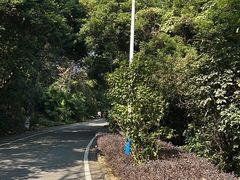 -火炉山森林公园