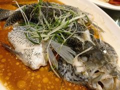 清蒸花斑-百乐门喜宴(海珠广场华厦店)