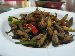-清水湖度假村(罗浮山美食地标店)