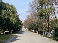 -南京市江宁方山