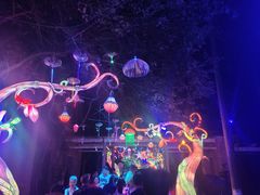 -广西壮族自治区药用植物园