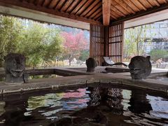 -中家鑫园温泉酒店鑫悦汤泉